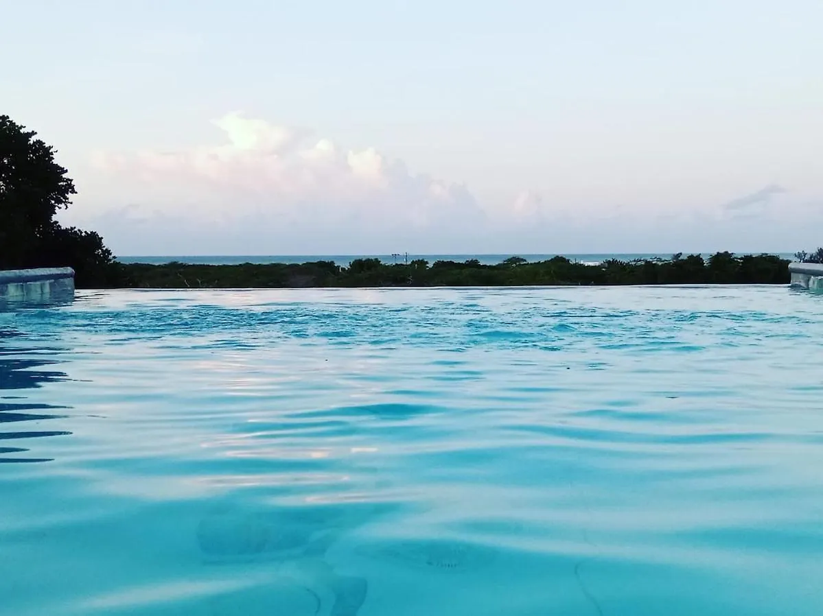 Lush Relaxing Coastline Villa With Private Pool Treasure Beach