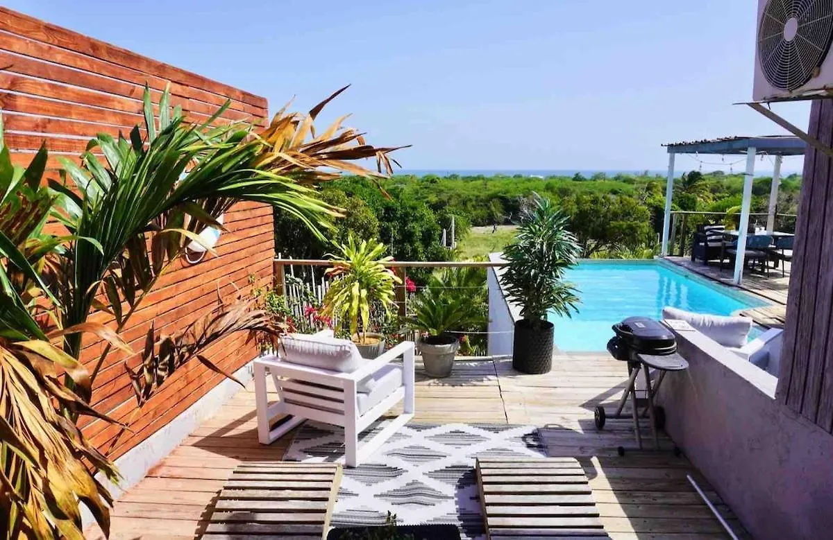 Lush Relaxing Coastline Villa With Private Pool Treasure Beach